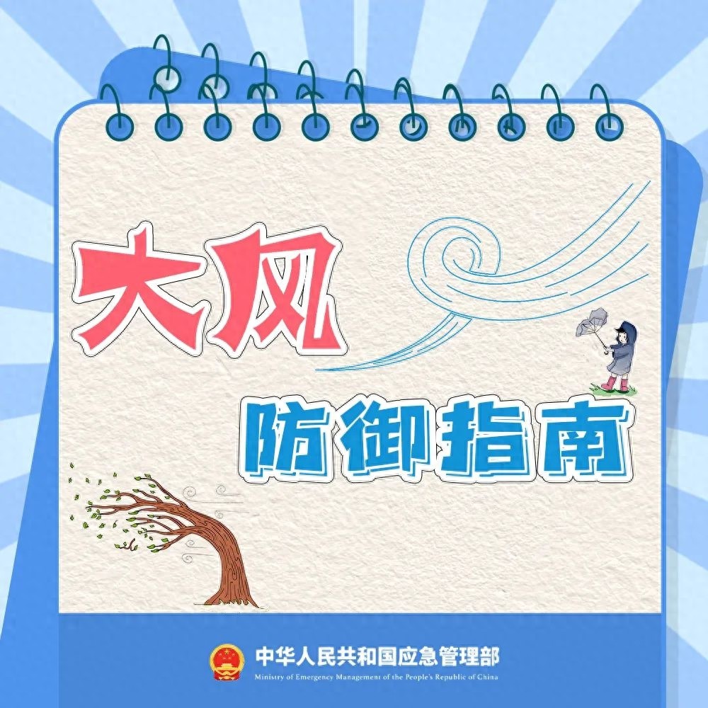 大风来袭！平凉市发布蓝色预警，这些乡镇阵风可达8级以上  第1张