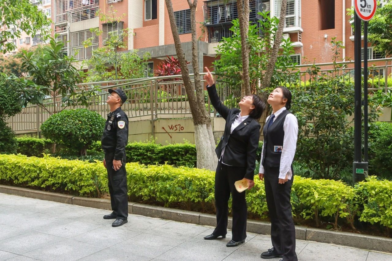 20年老小区外墙频脱落，居民安全谁来守护？专业整治工程全面启动  第6张