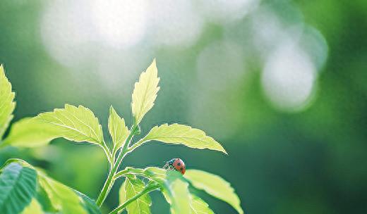 山西大风预警！12级阵风+霜冻来袭，你的保暖措施准备好了吗？  第1张