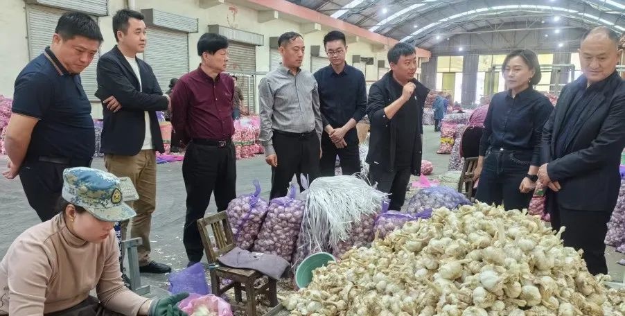 咸宁与邳州强强联手！跨区域知识产权保护将带来哪些惊喜？  第3张