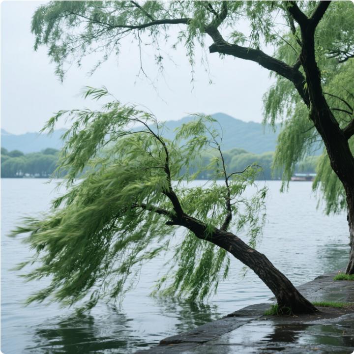 羽绒服重出江湖！杭州气温骤降至7.8℃，你被冻到了吗？  第6张