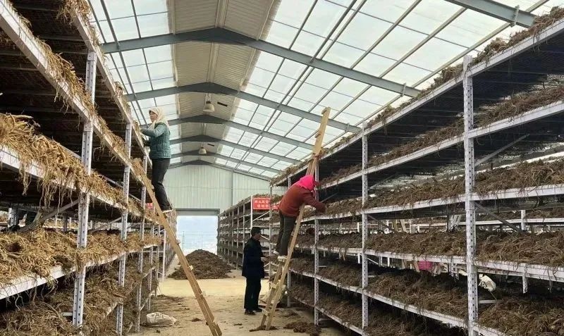 连续四年获全省评议考核A级等次！平凉食药安全管理水平提升秘诀何在？  第2张