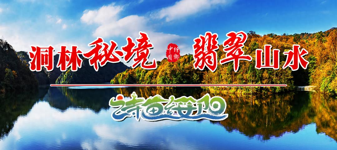重庆企业家为何纷纷涌向绥阳？这场装备制造产业盛会揭秘合作新机遇
