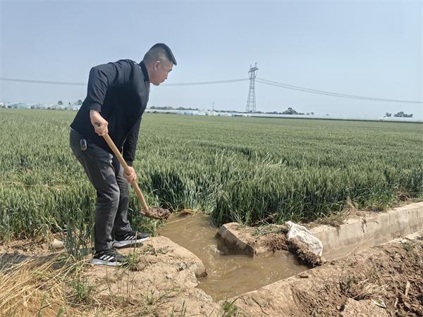 持续干旱下小麦遇挑战？渭南市种粮人如何构筑抗旱保粮屏障  第2张