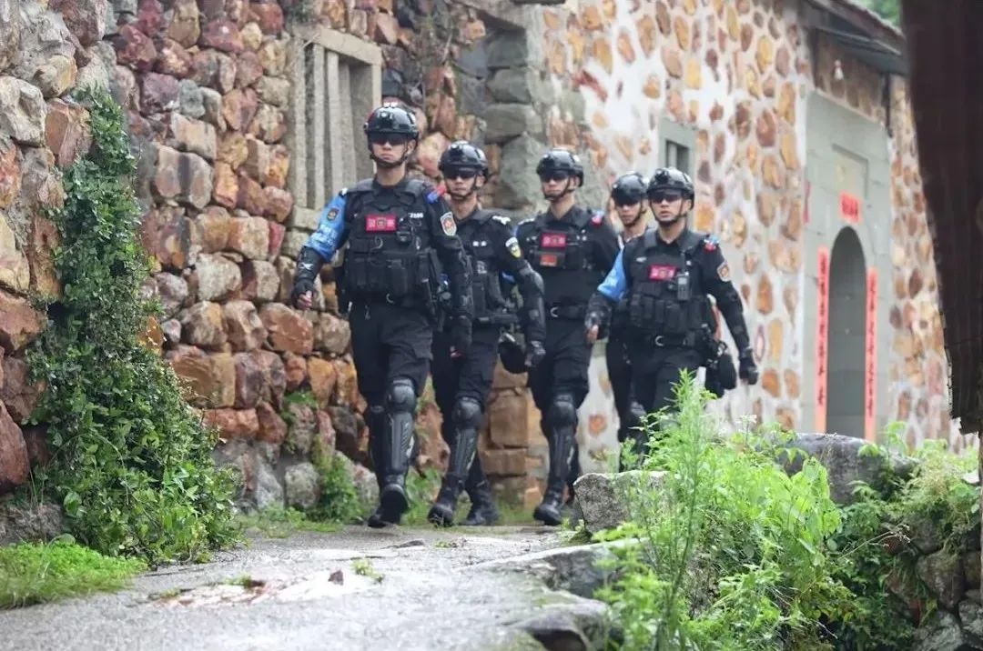 泉港公安分局1+2+N1126模式？打造强大警务体系守护平安  第3张