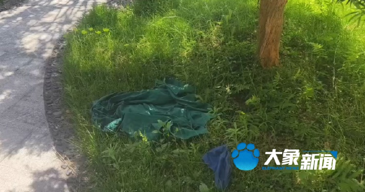 记者联合志愿者蹲守，非法代孕场所背后藏着啥秘密？  第2张