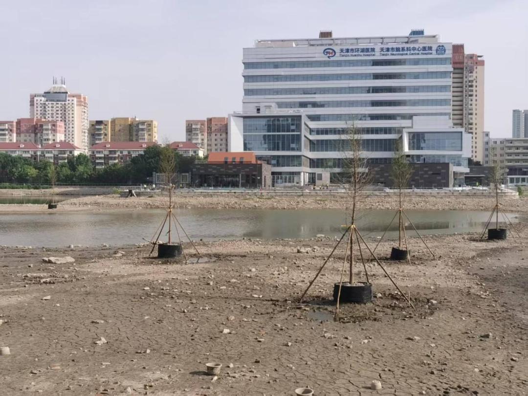 天塔湖为啥开始抽水？景观提升计划背后究竟藏着啥秘密  第3张