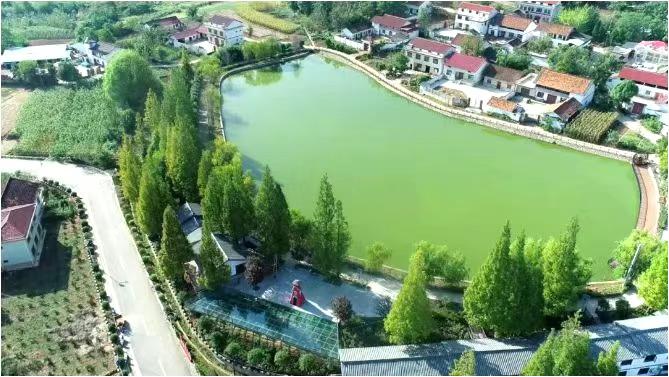 汉台区如何在秦岭南麓走出生态与经济协同发展之路？  第5张