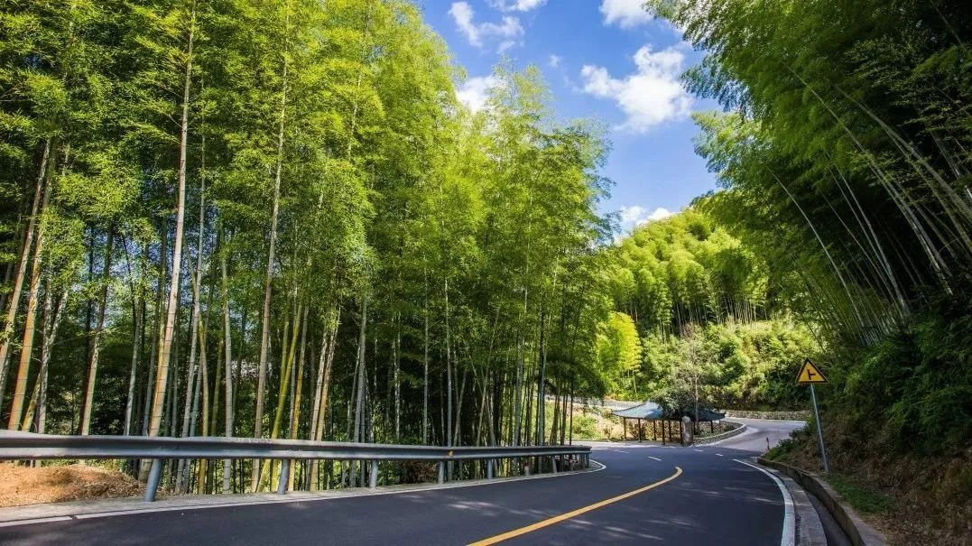 2025年度美丽公路项目名单公布！我市三条公路入选，咋回事？  第9张