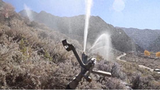 朗县水地矛盾制约生态发展？看江水上山造林工程如何破解