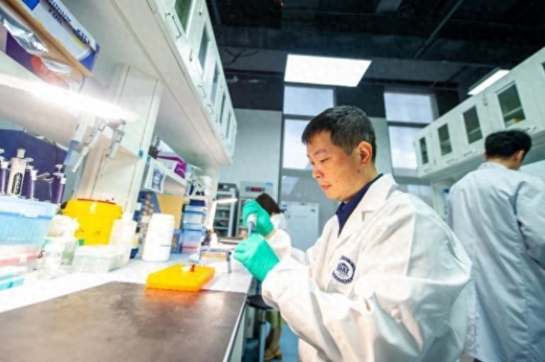 药物成瘾是难题？深圳科学家发现胜利体验竟能抑制成瘾