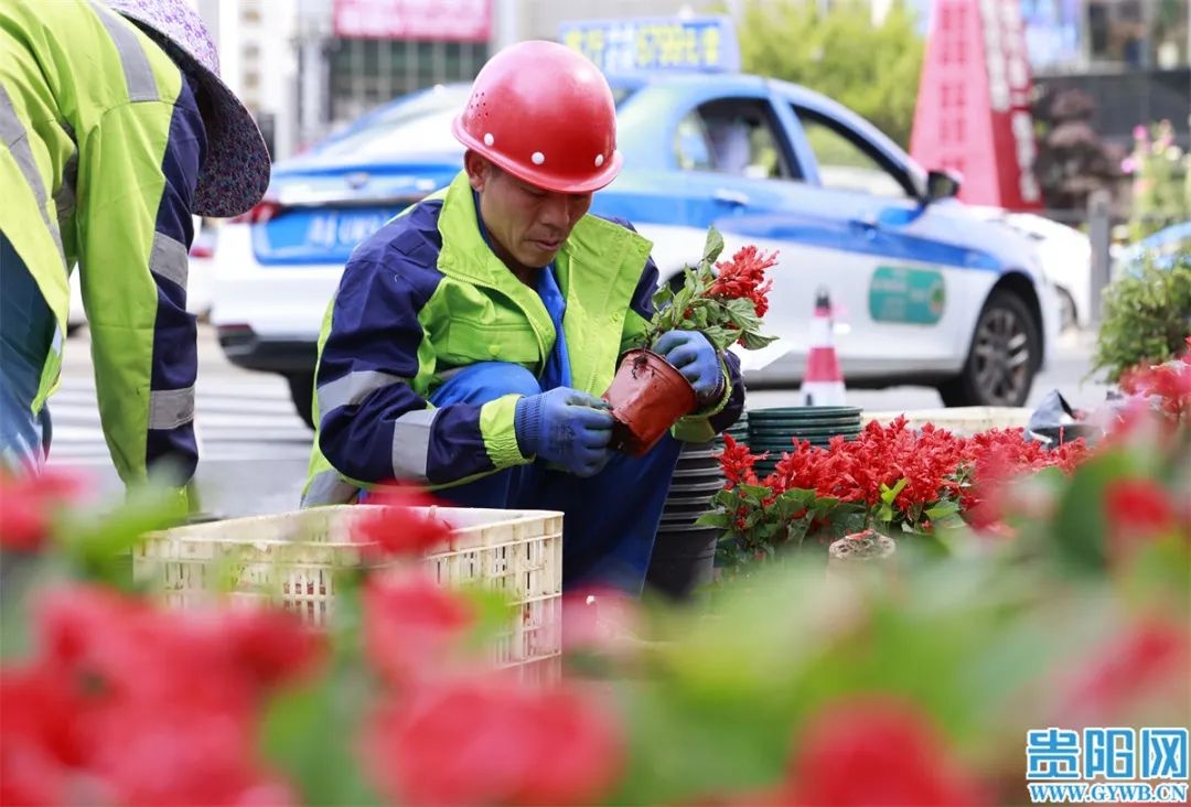 5月13日贵阳大十字路口，为迎民族团结大巡游，绿化工人有多拼？  第2张
