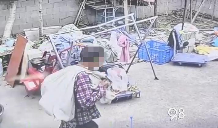 杭州钱塘区现家禽大盗，鸡鹅惨遭毒手，究竟是谁干的？  第2张