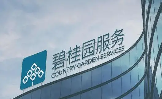 碧桂园服务为何突然计提8亿至11亿减值拨备？背后真相令人