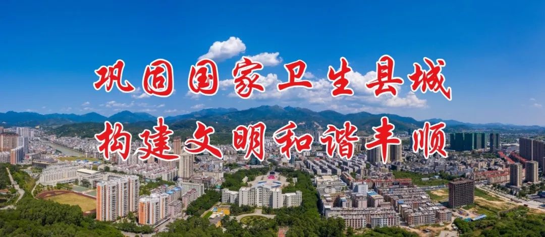 丰顺县作家协会2024年大动作！文学采风、作品推介、人才培育，你准备好了吗？  第5张
