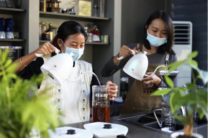 宁洱暖冬花开，300亩金色海洋等你来探！你准备好迎接这场视觉盛宴了吗？  第12张