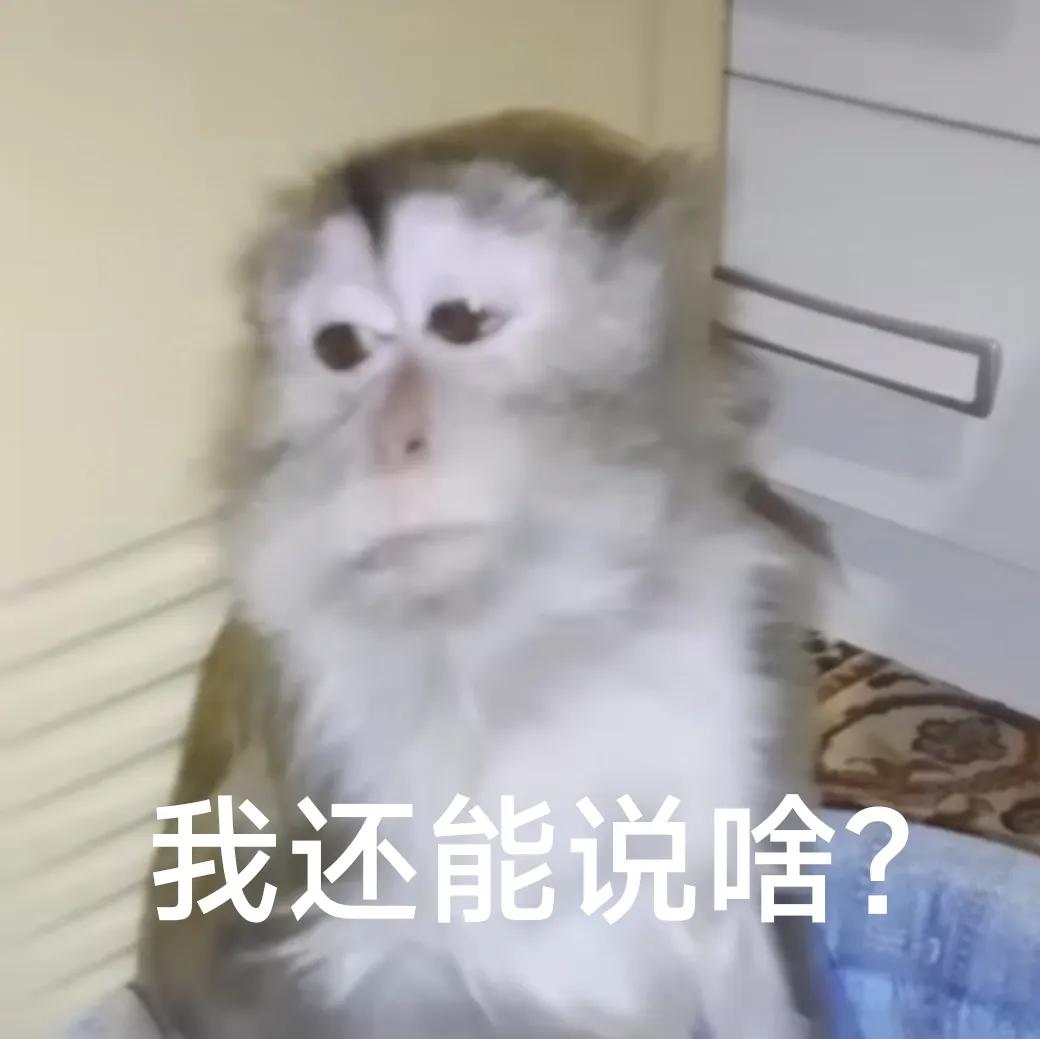 浙江气温过山车！今日最高18℃，但为何大地仍在喊渴？  第4张