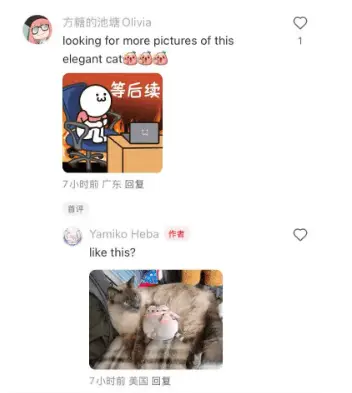 TikTok难民涌入小红书！美国网民为何疯狂种草中国社交平台？  第3张