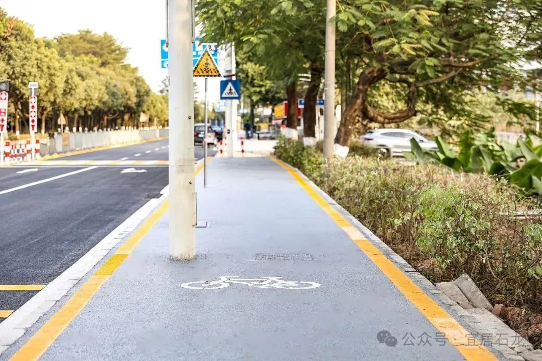 东莞大堤加固工程提前完工！石龙至石排交通时间大幅缩短，你感受到了吗？  第6张