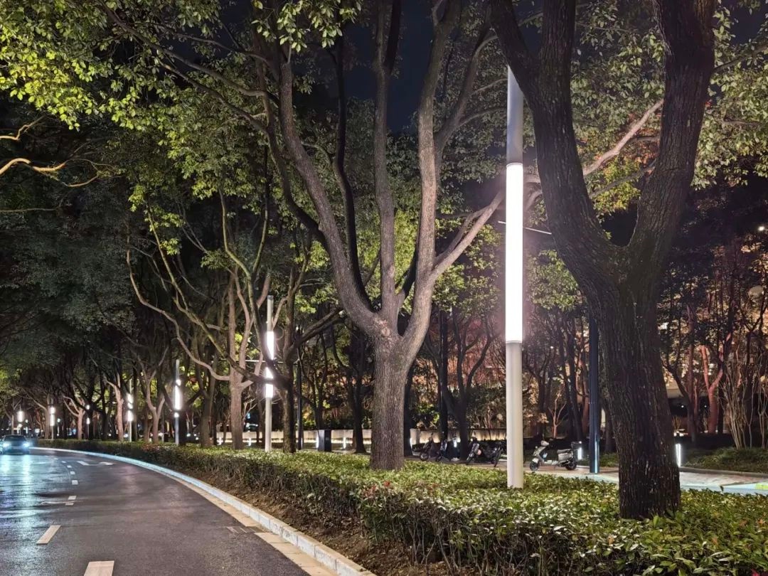 上海南站灯光升级，旅客出行体验大不同！你发现这些变化了吗？  第7张