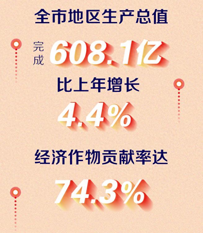 2024年全市农林牧渔业总产值突破608亿！水果、蔬菜、中药材为何成增速主力？  第1张