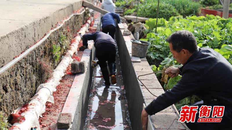 衡山县2.25万亩高标准农田建设项目为何如此火速推进？  第3张