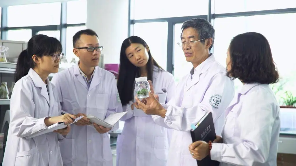 未来吃米饭就能补充辅酶Q10？中国科学院重大发现揭秘  第3张
