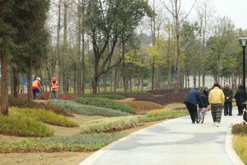 你知道吗？安顺虹山湖海绵调蓄公园藏着多少有趣的知识  第2张