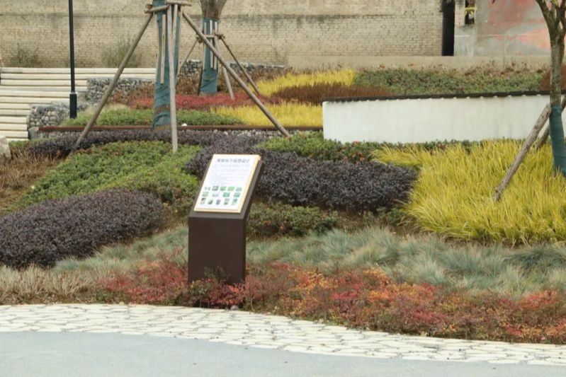 你知道吗？安顺虹山湖海绵调蓄公园藏着多少有趣的知识  第3张