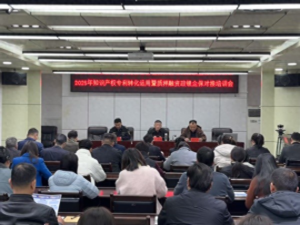 禹州企业如何利用知识产权质押融资提升核心竞争力？揭秘2025年政银企保对接培训会