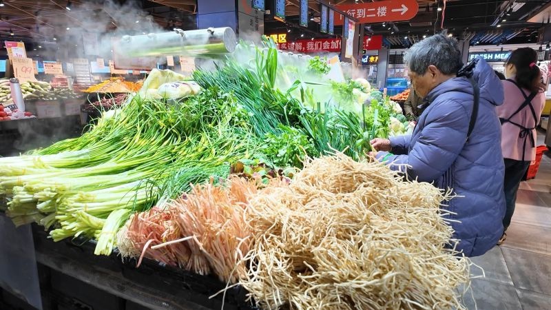 春天的味道，你尝过了吗？探秘枝江春菜市场的别样风情  第3张