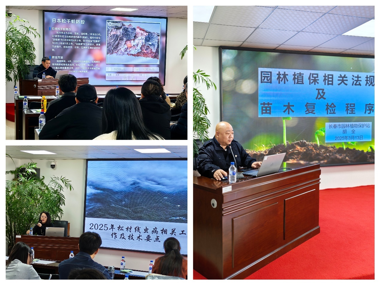 2025长春园林植物保护大揭秘：如何守住生态安全底线？  第3张