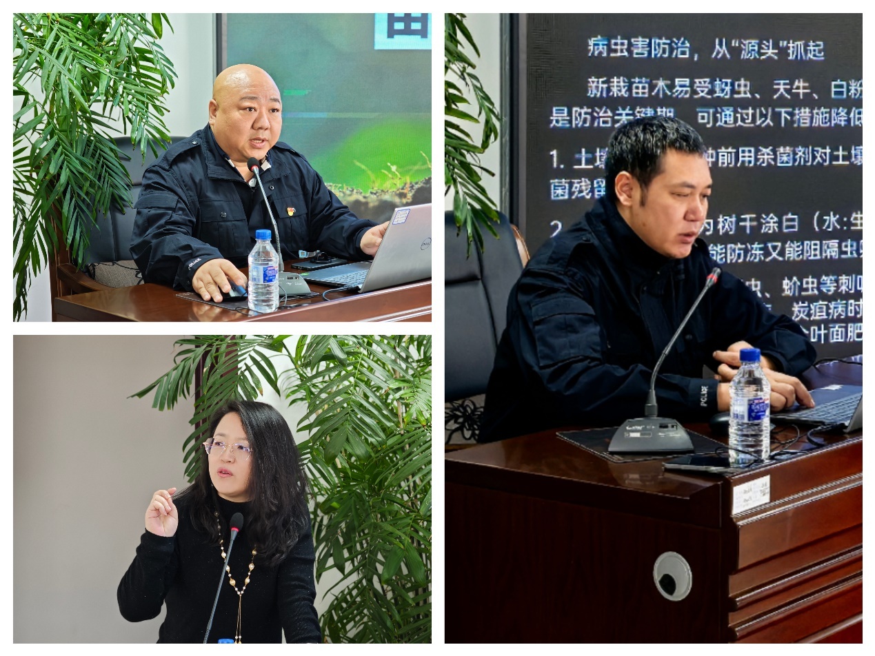 2025长春园林植物保护大揭秘：如何守住生态安全底线？  第4张