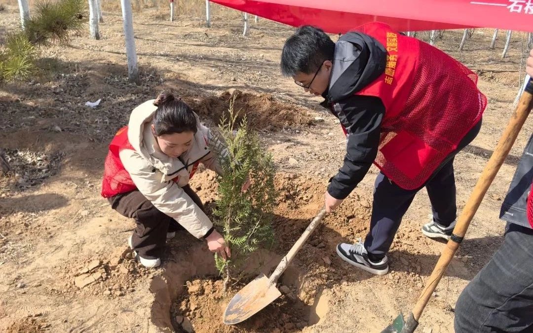 150株柏树安家落户,小镇社区焕发新生机!你参与了吗? 第2张 150株柏树安家落户,小镇社区焕发新生机!你参与了吗? 第2张