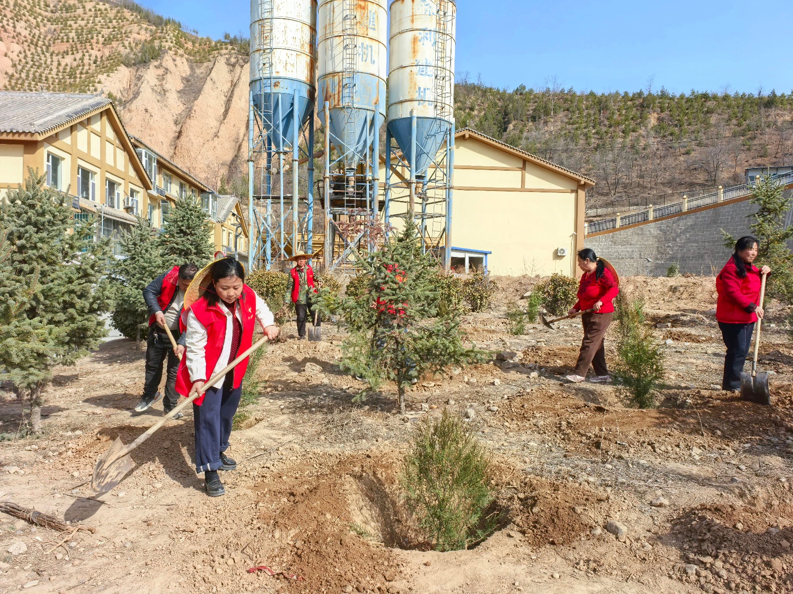 150株柏树安家落户,小镇社区焕发新生机!你参与了吗? 第3张 150株柏树安家落户,小镇社区焕发新生机!你参与了吗? 第3张