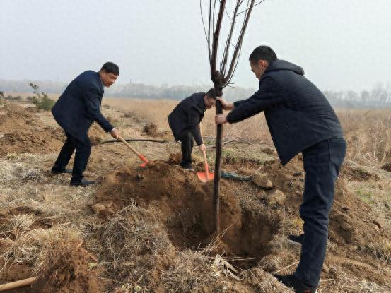 蒙阴县水利局如何用实际行动为大地添绿？3·12植树节现场直击