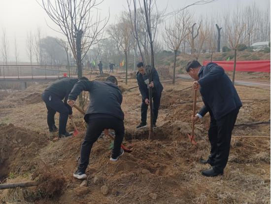 蒙阴县水利局如何用实际行动为大地添绿？3·12植树节现场直击  第2张
