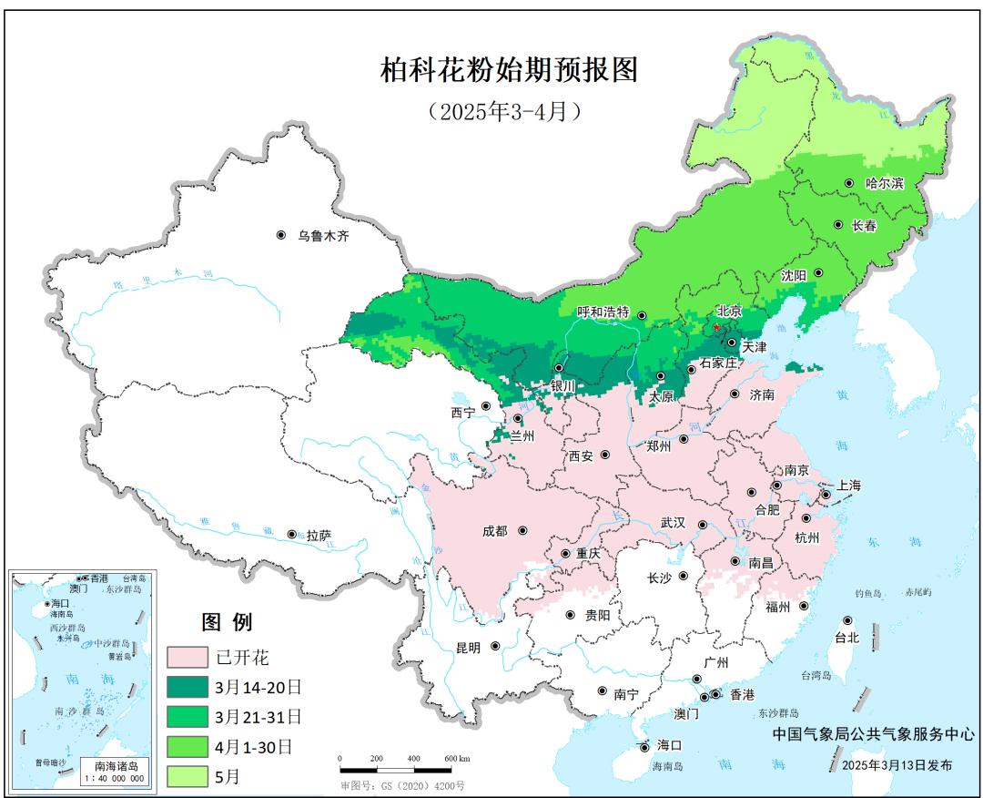 春季花粉过敏高发期，你准备好了吗？科学应对策略揭秘  第3张