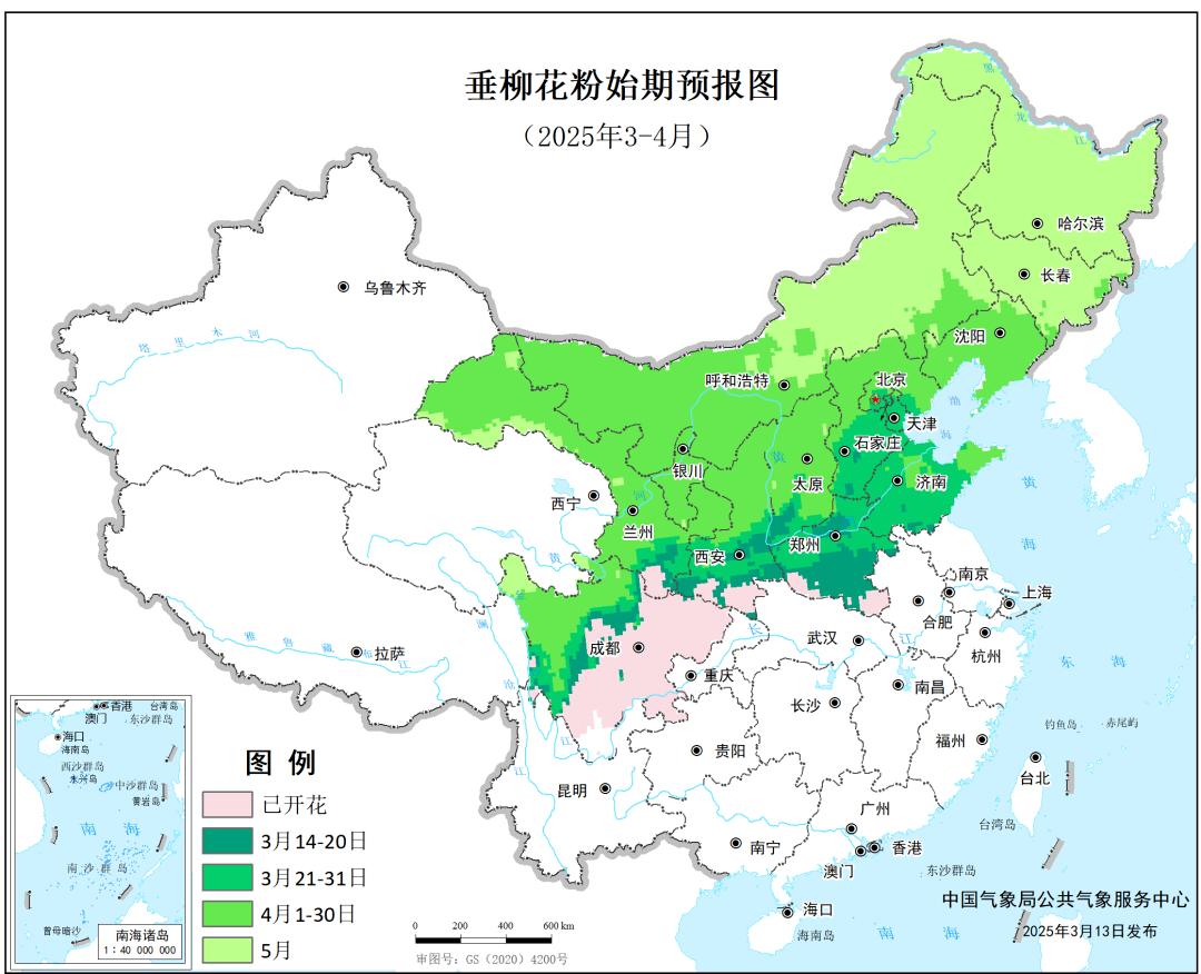 春季花粉过敏高发期，你准备好了吗？科学应对策略揭秘  第4张