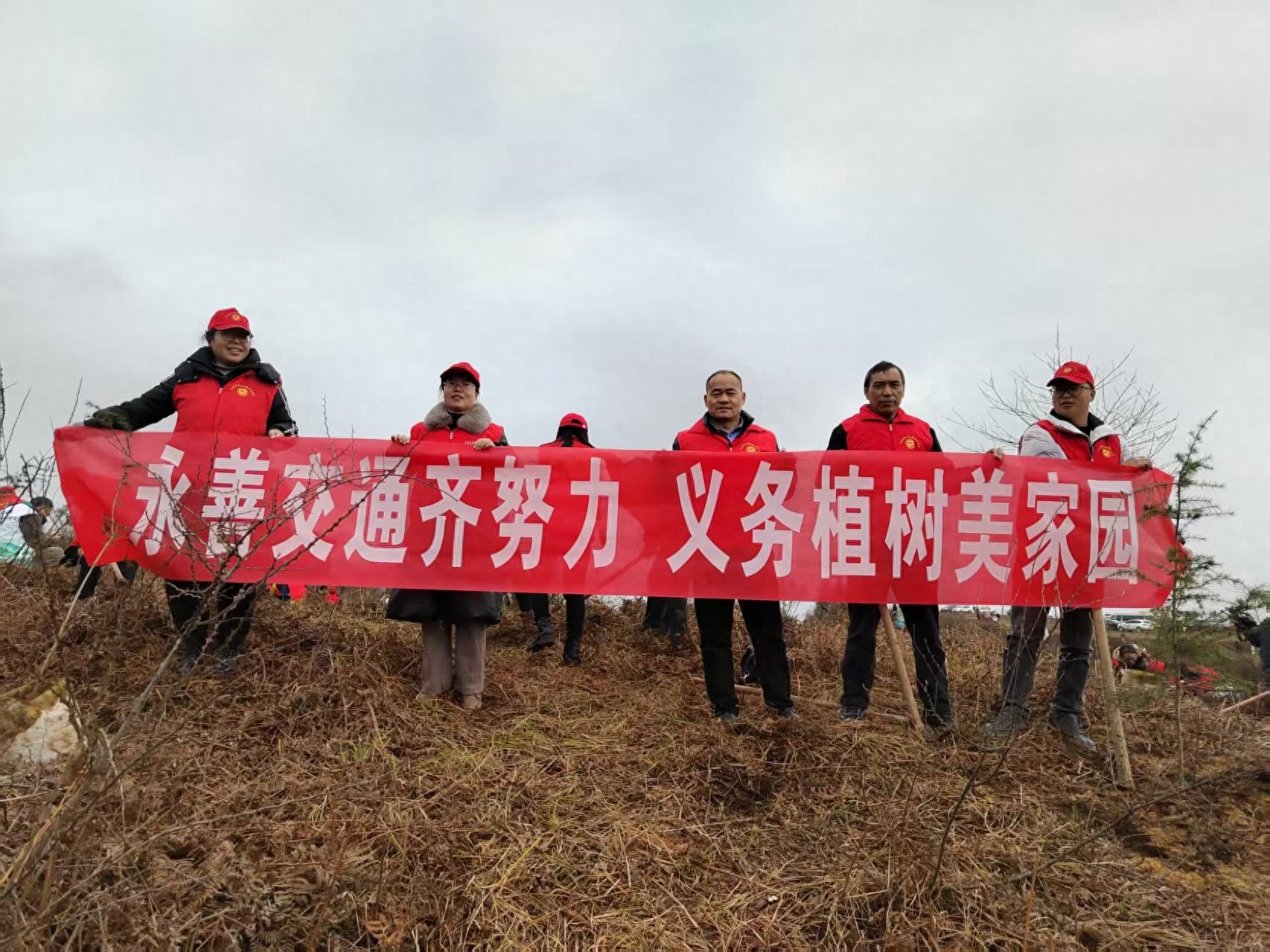 永善县交通运输局如何以实际行动践行绿水青山理念？植树节活动揭秘