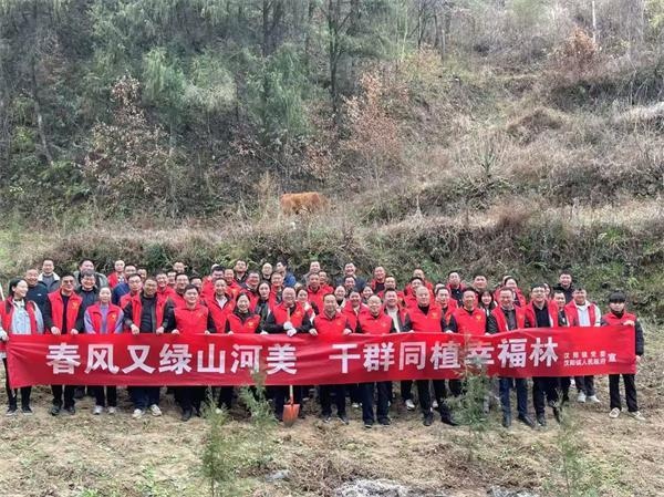 汉阳镇70余名志愿者植树3小时，200棵柏树苗如何扎根生长？  第2张