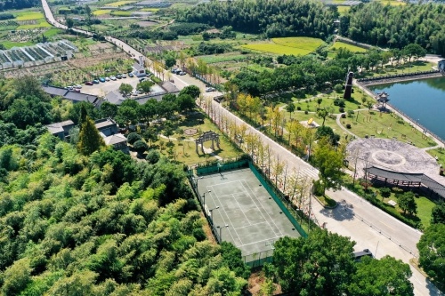 象山森林覆盖率飙升！你知道他们是如何做到的吗？  第2张