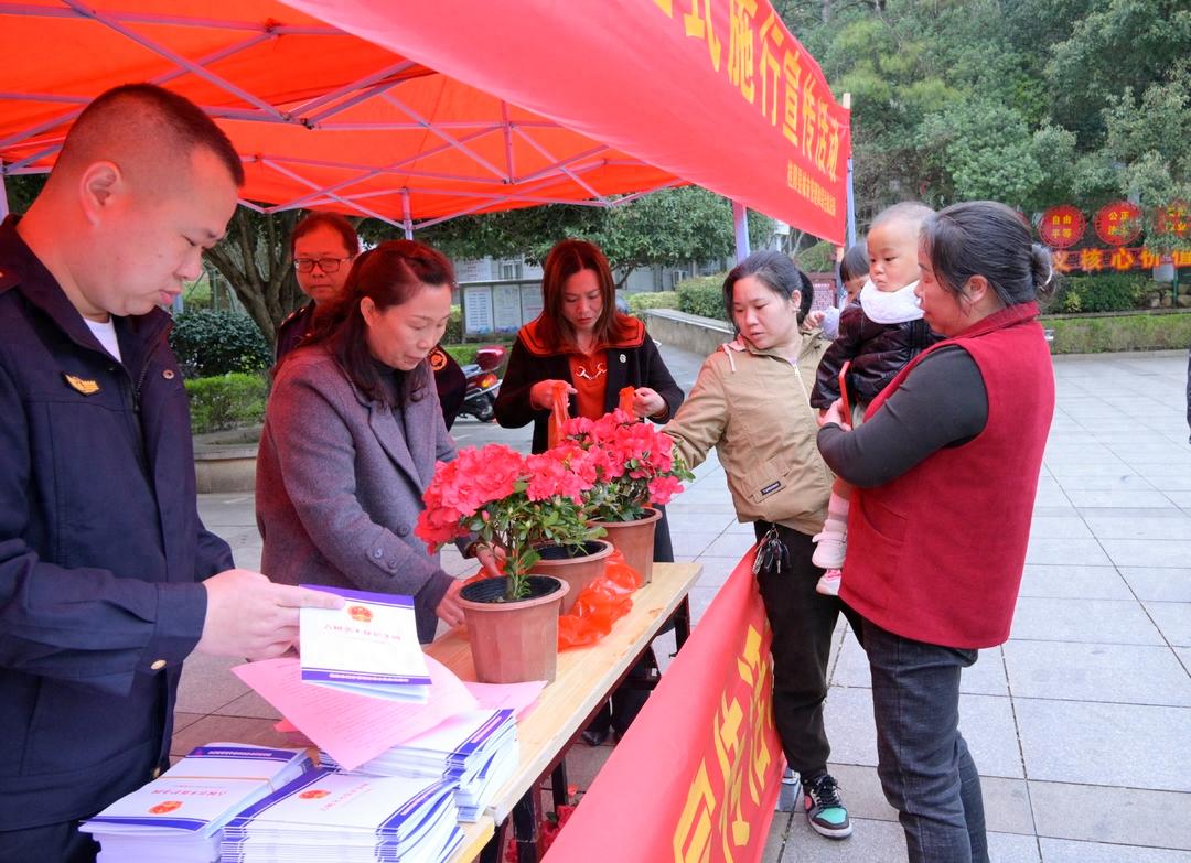 你知道吗？古树名木保护条例正式施行，参与活动还能领取免费绿植  第1张