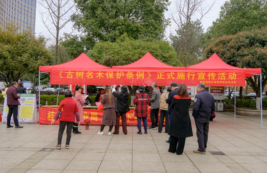 你知道吗？古树名木保护条例正式施行，参与活动还能领取免费绿植  第3张