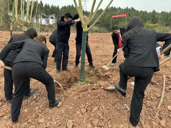 法治护绿，乐至县人民法院如何为生态文明注入新活力？  第2张