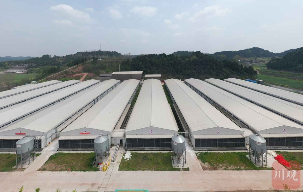 四川2000多个建制镇各美其美，四合一的遂宁大榆镇凭啥进全国500强？  第4张