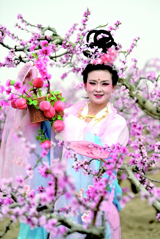 2025年甘肃秦安桃花会盛大开幕，你准备好赴这场春日之约了吗？  第2张