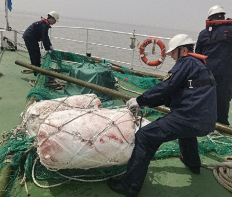 4月10日长江口九段沙惊现大段渔网漂浮物！浦东海事局半小时化解通航危机？
