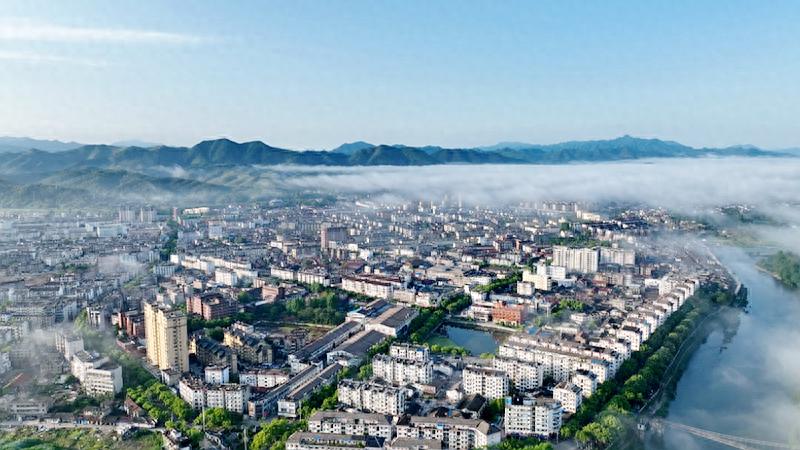 数字化变革助力县域经济腾飞！2025年我县公共资源交易实现100%不见面开标