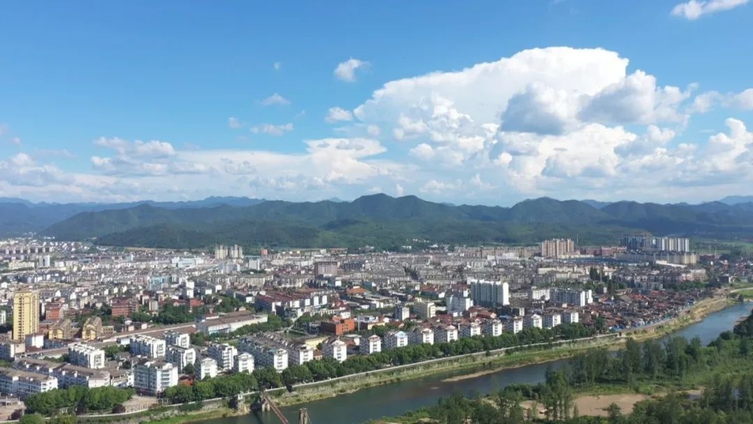 数字化变革助力县域经济腾飞！2025年我县公共资源交易实现100%不见面开标  第4张